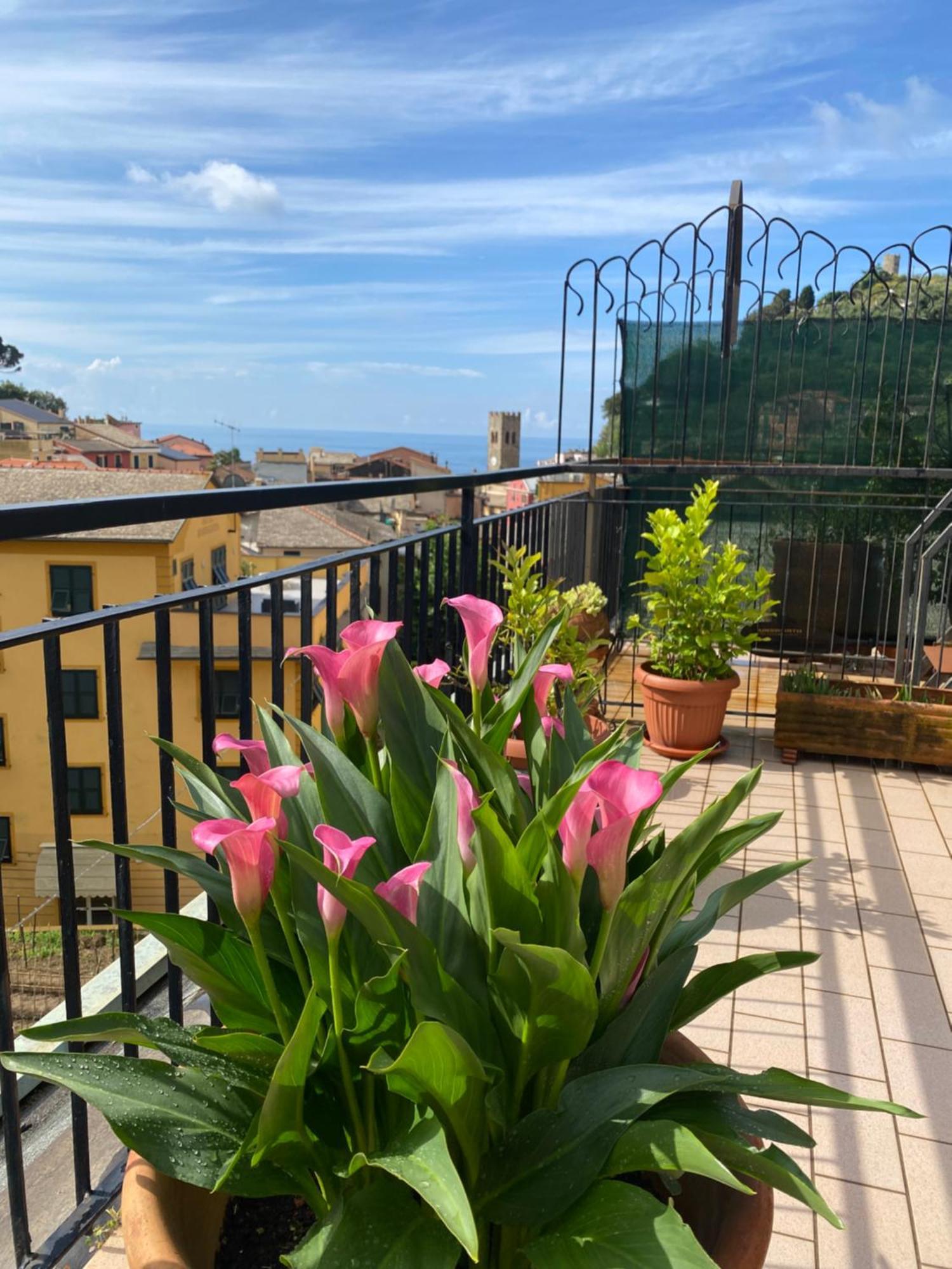 La Terrazza Di Monterosso Apartman Monterosso al Mare Kültér fotó