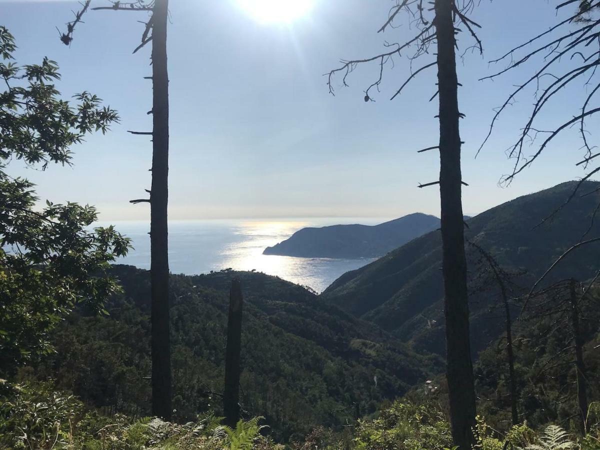 La Terrazza Di Monterosso Apartman Monterosso al Mare Kültér fotó