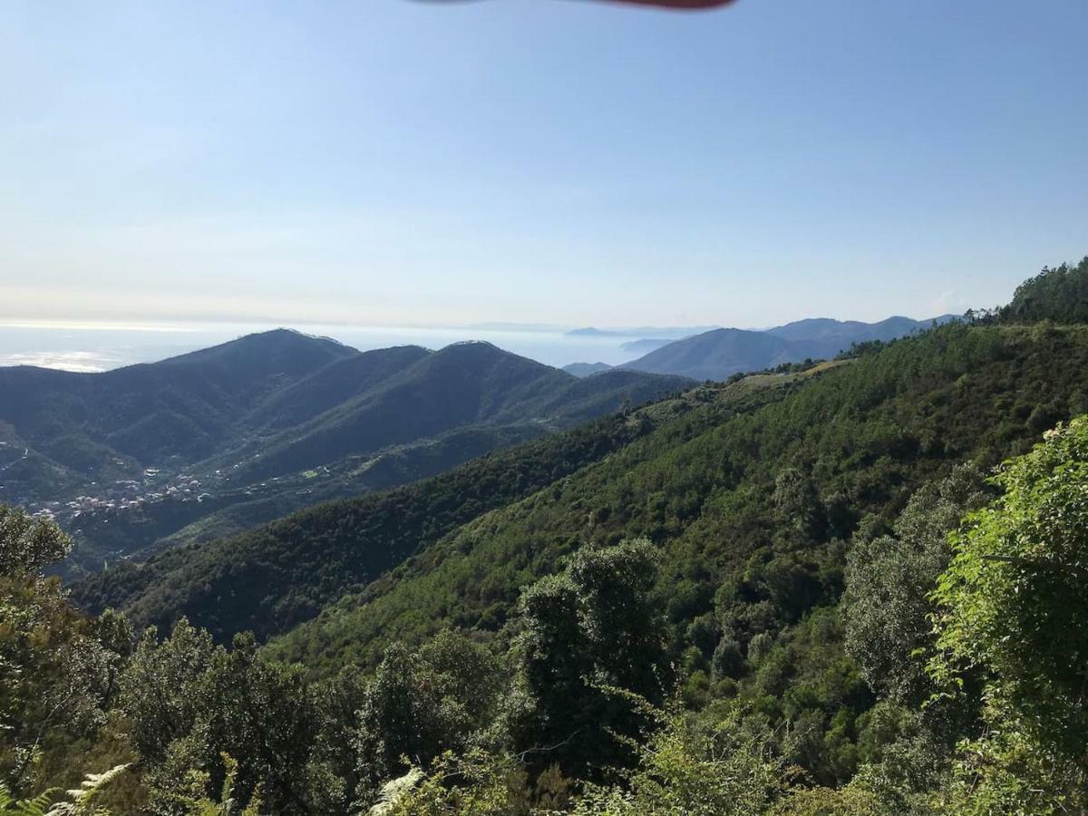 La Terrazza Di Monterosso Apartman Monterosso al Mare Kültér fotó
